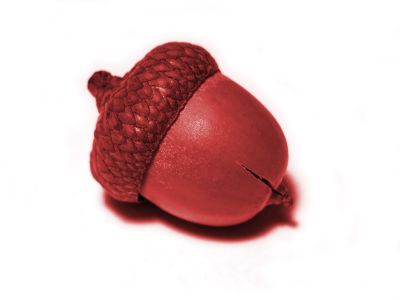 Test Standard Artikel 3